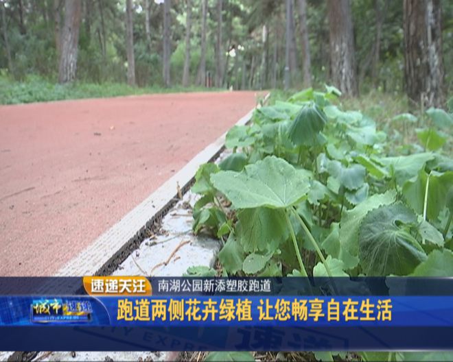 宝马娱乐南湖公园新添千米塑胶跑道 在花海中慢跑(图2)